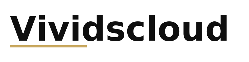 Vividscloud logo